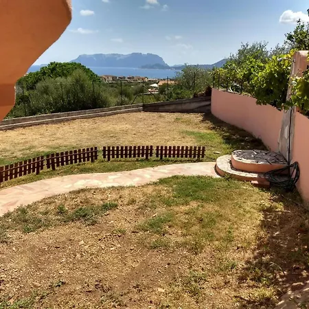 Il mirto in fiore-3